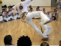 Tekniker i capoeira